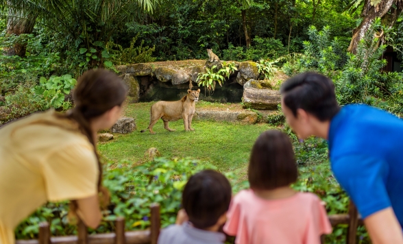 世界でも珍しい 柵のない動物園「シンガポール動物園」入場チケット